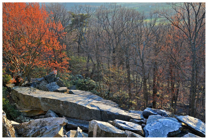 Bull run Mountain hiking haymarket va